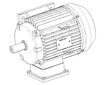 B6