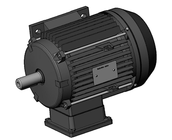 B6