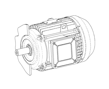 B9