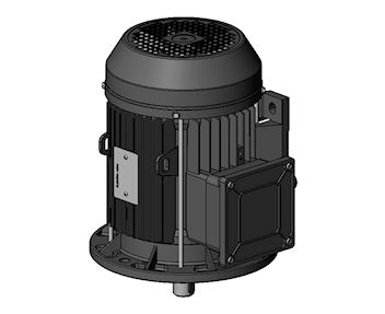 V1 - V5