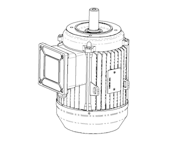 V19