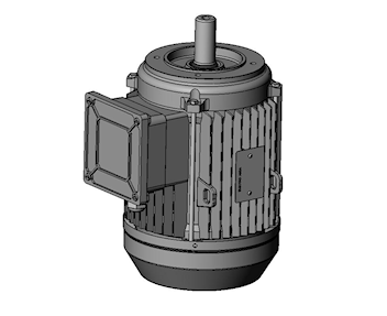 V19