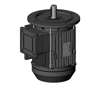 V3 - V6